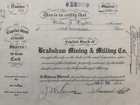 1910 Bradshaw Mining   Milling Co  Stock Certificate  354  Utah