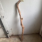Diamond Willow Walking Stick you Carve 
