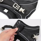 Dog Harness Leash Set For Dogs Adjustable Puppy Cat Vest Us