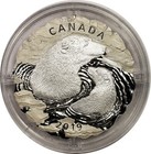 2019 Canada  50 Polar Bear 5 Oz  9999 Fine Silver Mother And Cub Ogp