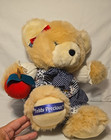 Vintage Teddy Precious Collectible Bear Schoolhouse Dress With Plush Apple 16 