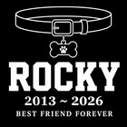 Pet Stone  Memorial  Grave Marker Granite Plaque Headstone Dog Cat Memorial 6x6