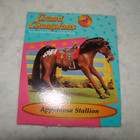 Vintage Grand Champions Appaloosa Stallion Horse Empire 1992