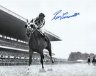 Secretariat 1973 Belmont 8  X 10  Framed Remote Photo Signed Ron Turcotte New 