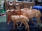 Vtg Breyer Deer Family Buck Doe Fawn
