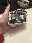 Agatized Fossil Coral Geode Pair Botryoidal Chalcedony Matched Halves