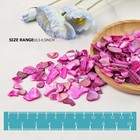 Natural Crushed Shell Chips Irregular Pieces For Diy Crafts