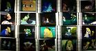 Alice In Wonderland Film Cell Lot Of 12 - Animation Compliments Movie Dvd Book