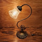 Vintage Cast Metal Brass Bronze Table Lamp Nouveau Gooseneck Desk Light Glass