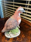 Quail Bob White Andrea By Sadek  7128 Porcelain 8 1 2    Figurine Bird Vtg