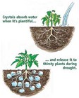 Water Absorbing Polymer Crystals  - Soil Moist - Cricket Water Gel