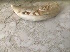 Carved Warthog Tusk With Rhino