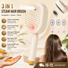 2026 New Electric Steam Brush  Electric Steam Brushs For Hair  Rechargeable Usa