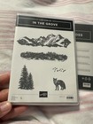 New Stampin  Up  In The Grove Stamp Set  164459    Dies  163511  Beautiful Set 
