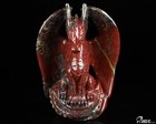 5 1  Dragon Blood Jasper Hand Carved Crystal Dragon Sculpture  Crystal Healing