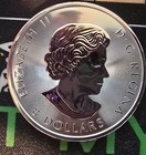 Canada 2020 Silver Bull  8 Dollars 1 1 2   1 5   Oz Pure 9999 Silver Bu Coin