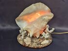 Vintage Sea Shell Night Light Tv Lamp - Handmade In Florida - Conch Shell Lamp 