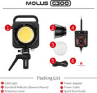 Zhiyun Molus G300 300w Led Video Cob Light Photography Lighting App 2700k-6500k
