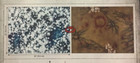 Warcry Aos Corpsewrack Mausoleum 22 x30  Game Board   Tokens Sheet Warhammer Nip