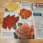 Vintage Jackson   Perkins Co  Spring 1954 The Parade Of Modern Roses Catalog