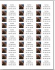 150 Chocolate Lab American Flag Mailing Return Address Labels Personalized