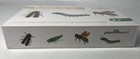 Insects Bugs 1 To 10 New Educational Flash Cards Ages 2 Up Plant The Seed Sealed