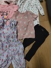  012     Huge Bundle Of Baby Girl Clothes 9-12months Next George River Mothercare