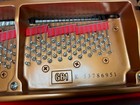 Yamaha Gb1 Grand Piano 2021  Video