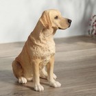 Sitting Labrador Retriever Polystone Dog Themed Figurine Home Decor Collectible