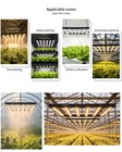 Spider 4000w Full Spectrum Most Efficient Grow Lights Commercial Lm281b Led Lamp