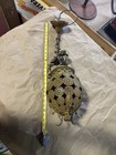 Victorian Bronze Brass Cranberry Hall Light Antique 