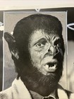 1974 The Bat People It Lives By Night Stewart Moss 8 x10  B w Reference Photo