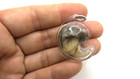 Vintage Thai Amulet Authentic Claw Pendant Protection Charm Lep Seur Tiger