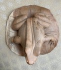 Large Wood Hand-carved Frog Figure On Lilypad 8  Wide Carving Tropical