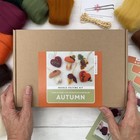 Needle Felting Kit - Autumn Decorations  Learn To Make A Set Of Cute Autumnal   