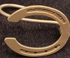 Set Of 12 Rustic Horseshoe Shower Curtain Hooks