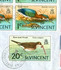 St Vincent Topic Bird 1c Block Of 10   20c  Used On Cover To Usa