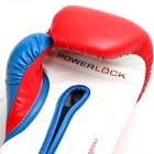 Brand New Everlast Boxing Powerlock Training Gloves Sparring Bag Mitt Work 14oz