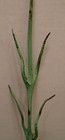 1870 s Original Tree Branch Lightning Rod Weathervane Tip Top Finial  3