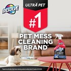 Ultra Pet Odor And Stain Remover Spray     Carpet Cleaner For Cat And Dog Urine An