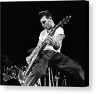 Mike Ness Of Social Distortion Playing Prints  Canvas  Metal And Framed Art 