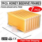 Cedarwood Auto Seep Bee Hives Bee House Boxes   7 Plastic Beekeeping Frames Gift