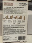 Salon Perfect Mirror Effect Magnetic Beige Stiletto Press-on Nails  Medium  Glue