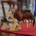 Vintage Puerto Rico Feather Roosters Figure By Eloy Wood Base Handmade Souvenir