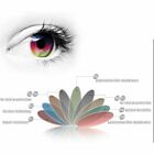 Us Polarized Replacement Lenses For-oakley Chainlink Oo9247 Multiple Colors