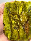 Mexican Green Jasper   Agate Slab Cabbing Collecting Combo Ship Avail