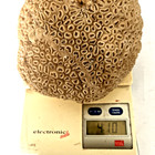 Large 4 10 Lbs Sea Brain Coral Reef Cluster Coastal Beach Ocean Specimen Decor