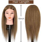 Mannequin Head With 100  Real Human Hair   18  Gold Brown Hair Art Manikin Cosme