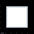 Vintage Square Photo Men And Women Standing Outside 1955