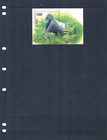 1 2 Off  7 50 Scott Value - 2002 Zaire Congo Gorilla S s Rainforest Mnh Nh Umm
